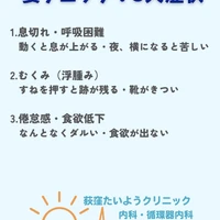 画像262